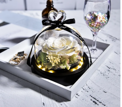 Preserved Rose Home Decor – Romantic Gift for Her