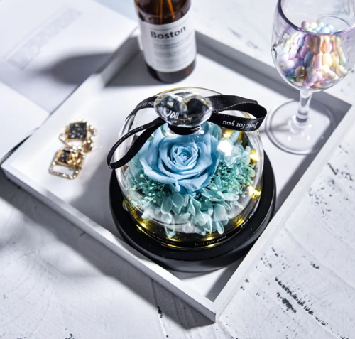 Preserved Rose Home Decor – Romantic Gift for Her